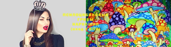 прущие крисы Алексеевка
