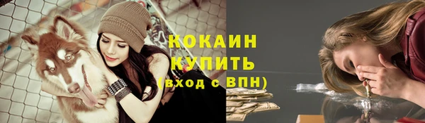 прущие крисы Алексеевка