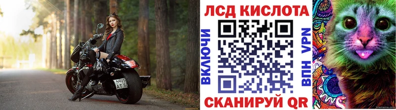 Наркотические марки 1,5мг  где купить наркоту  Жуковский 