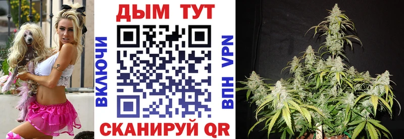 ОМГ ОМГ вход  Жуковский  Шишки марихуана индика  наркошоп 